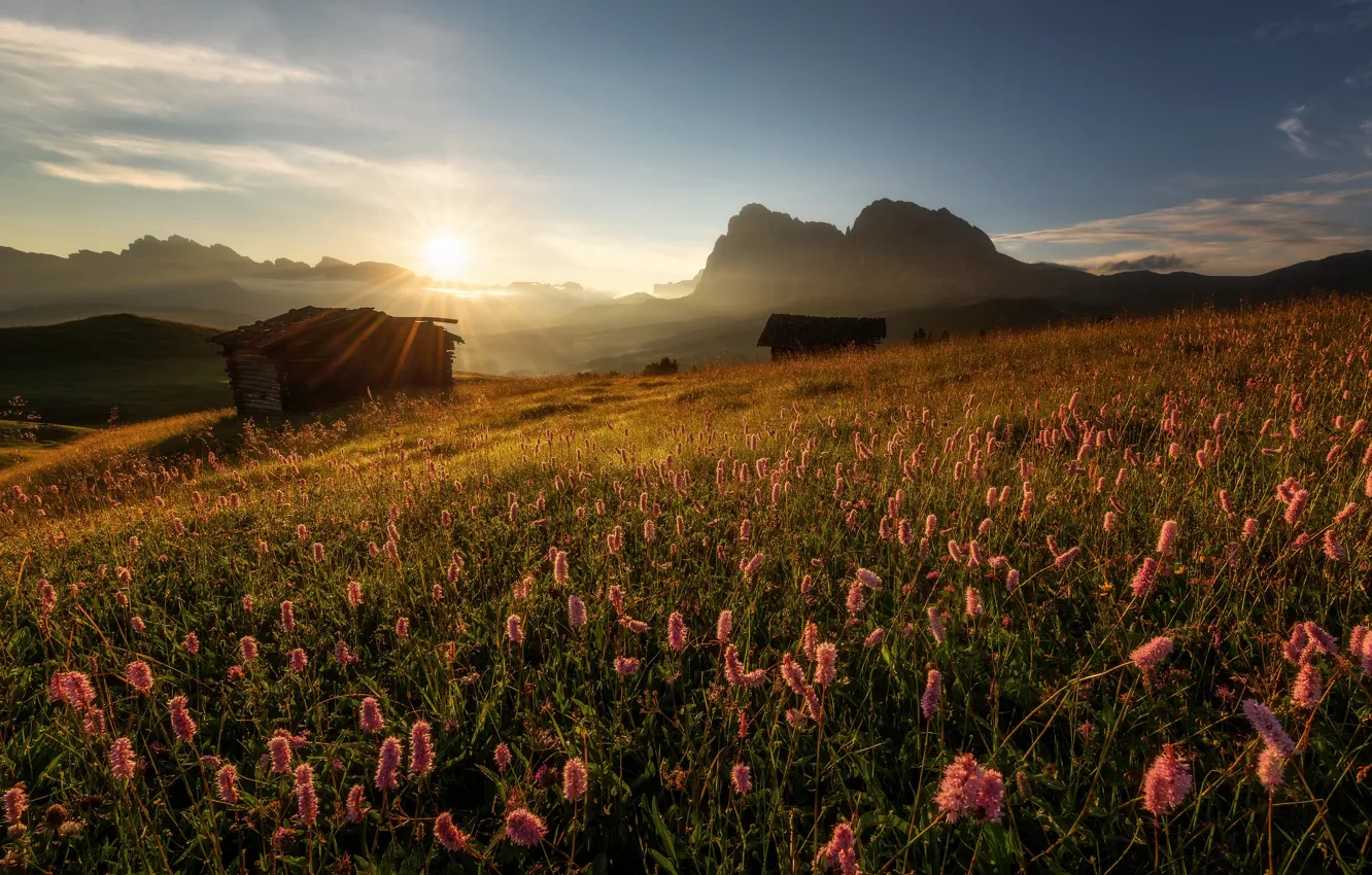 Photo wallpaper flowers, mountains, sunrise, dawn, morning, meadow, hut, Italy