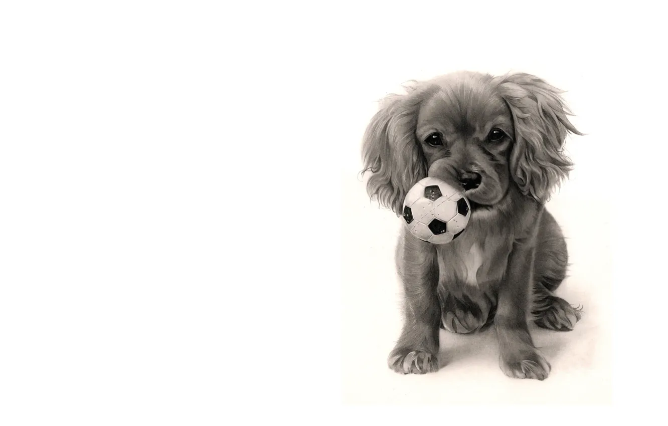 Photo wallpaper the game, art, puppy, the ball, children's