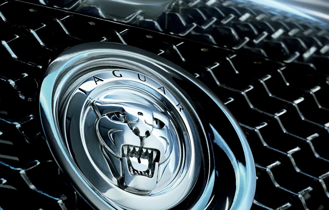 Photo wallpaper auto, Jaguar, logo