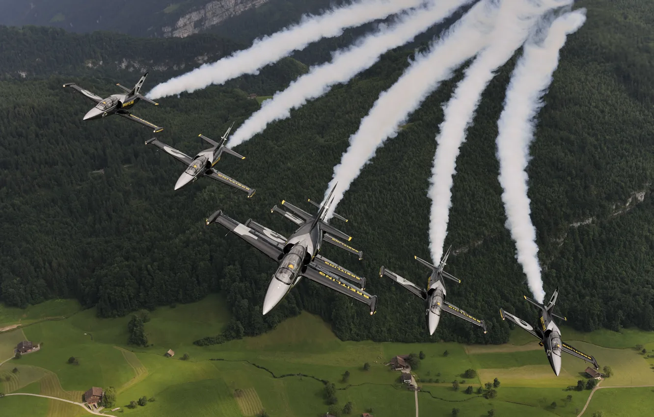 Photo wallpaper the plane, jet, Breitling, Breitling Jet Team, L-39 Albatros