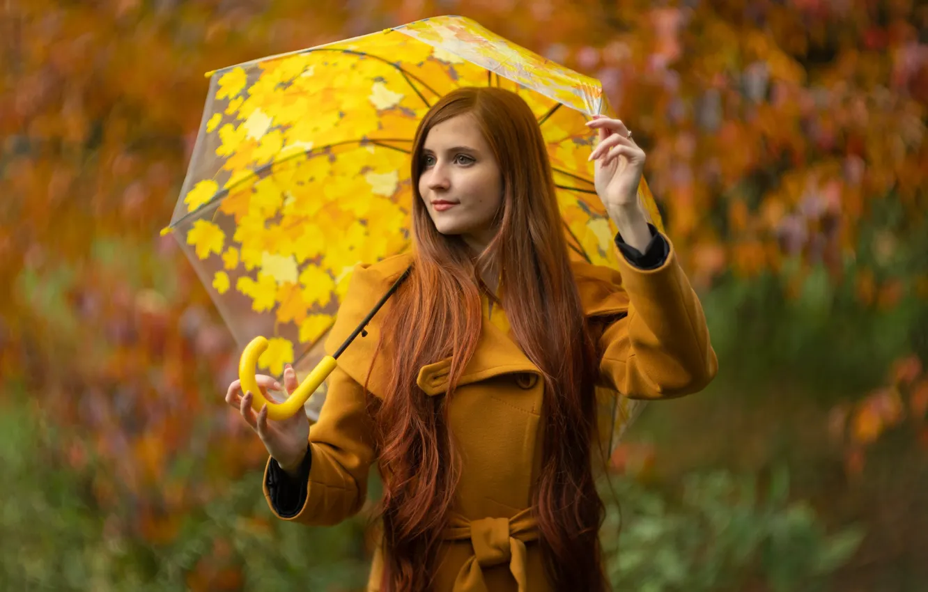 Photo wallpaper autumn, forest, look, girl, nature, pose, Park, foliage