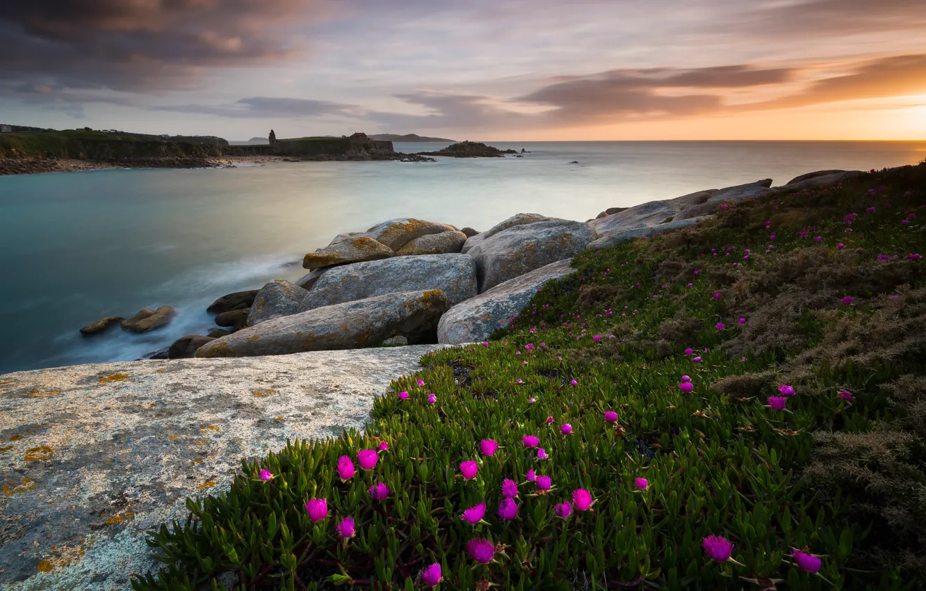 Photo wallpaper sea, the sky, clouds, sunset, flowers, stones, shore, horizon