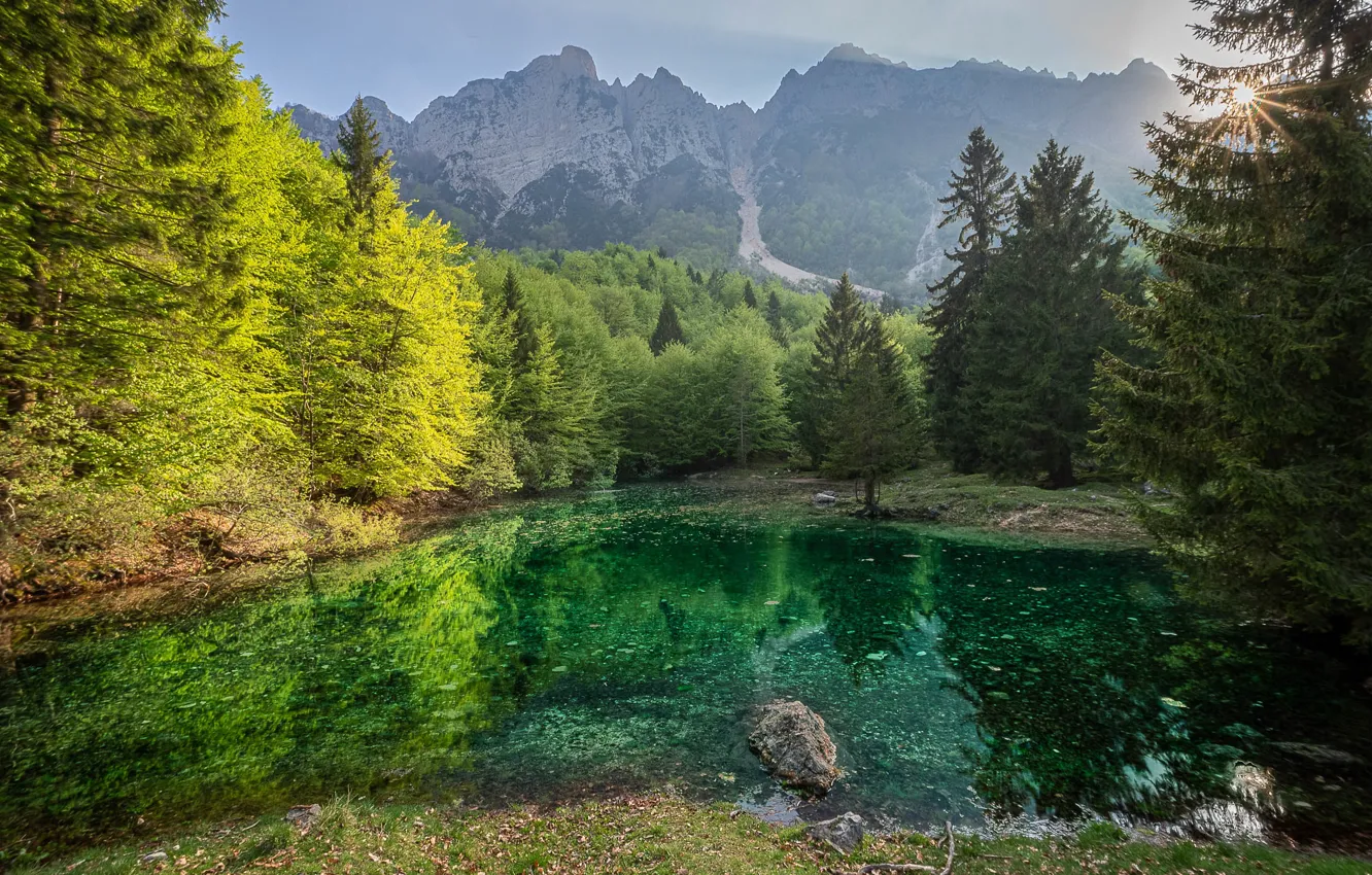 Photo wallpaper forest, light, trees, mountains, lake, reflection, stones, shore