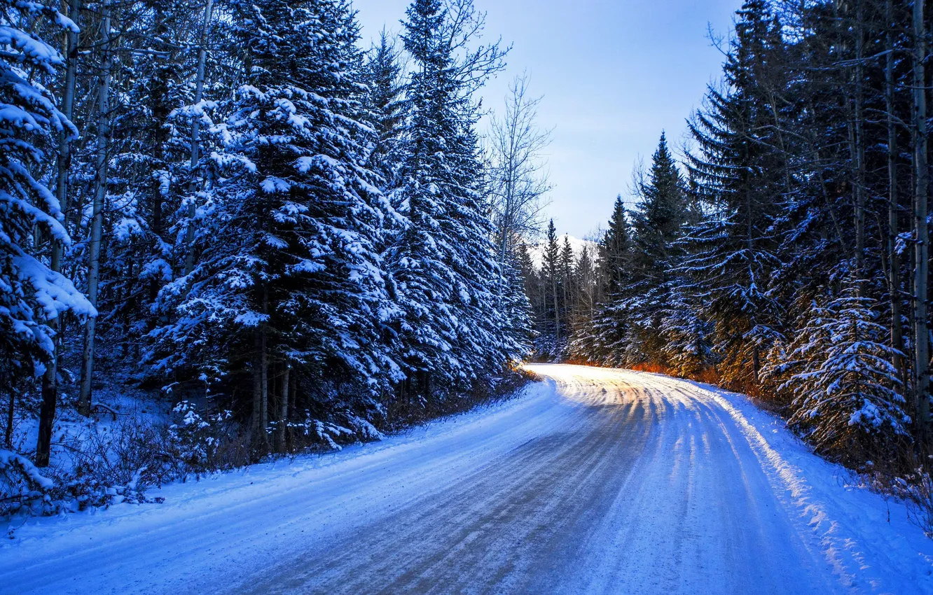 Photo wallpaper winter, road, forest, the sky, clouds, snow, trees, landscape