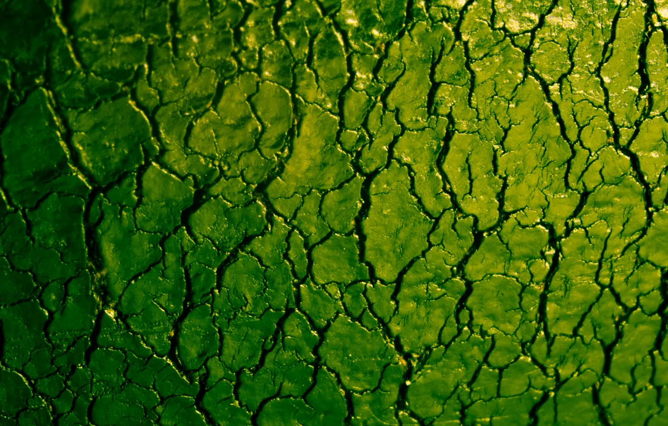 Photo wallpaper surface, cracked, color, texture