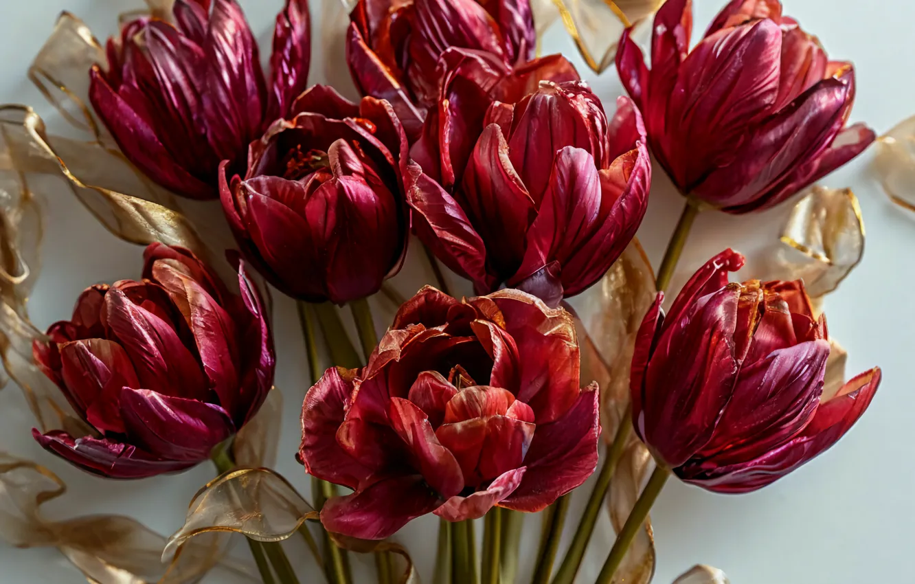 Photo wallpaper flowers, tulips
