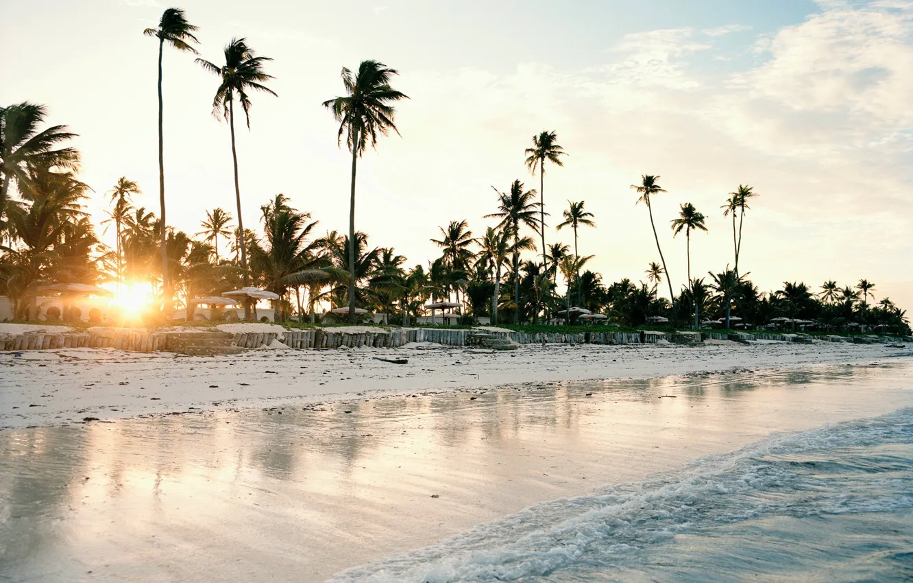 Photo wallpaper beach, palm trees, the ocean, shore, morning, resort