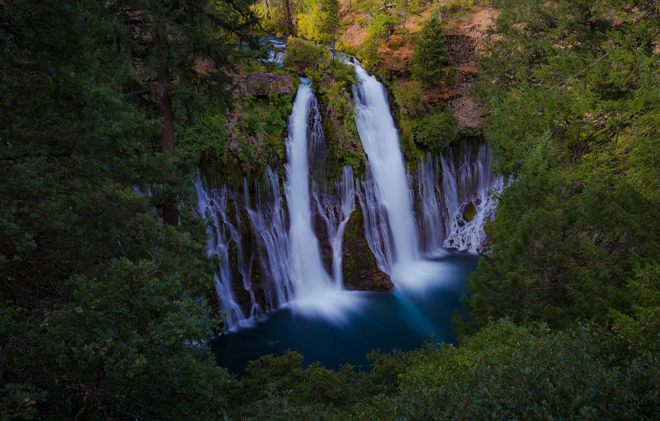 Photo wallpaper forest, river, waterfall, CA, cascade, California, Burney Falls, Burney Creek