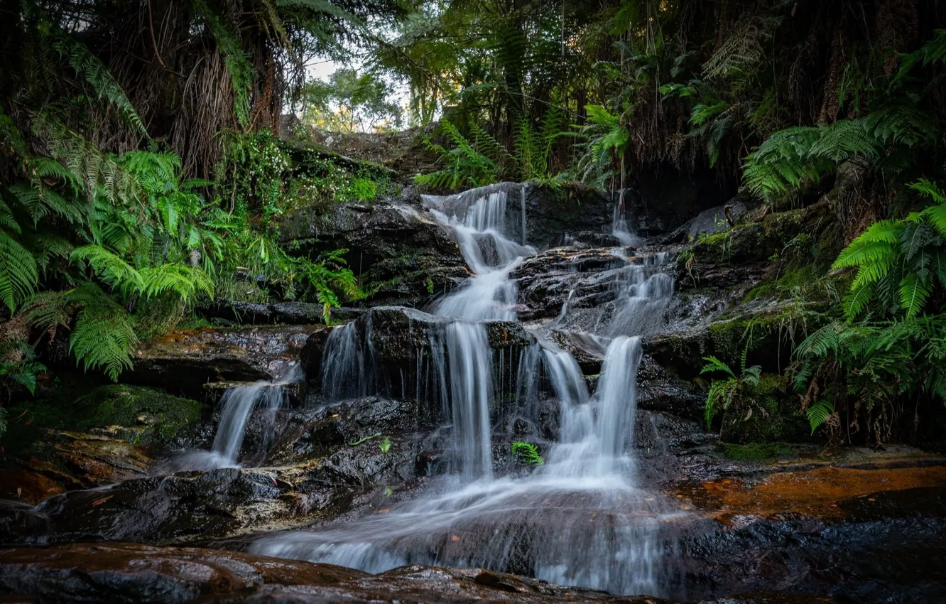 Photo wallpaper stream, waterfall, stream