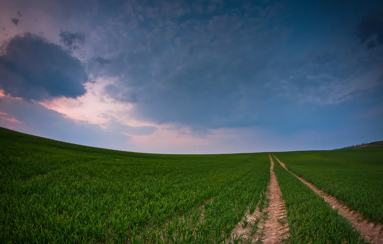 Photo wallpaper road, the sky, grass, traces
