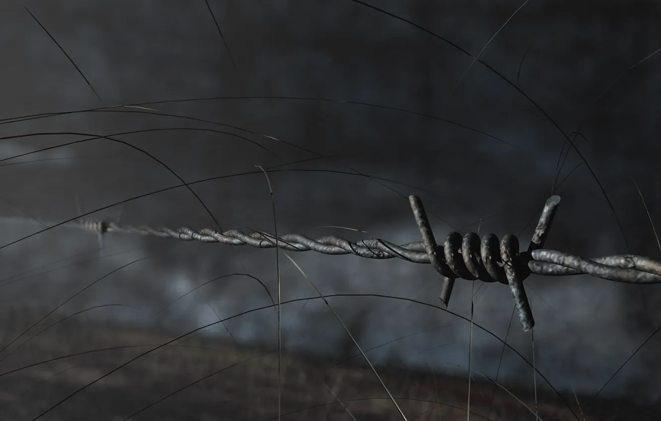 Photo wallpaper spikes, barbed, wire