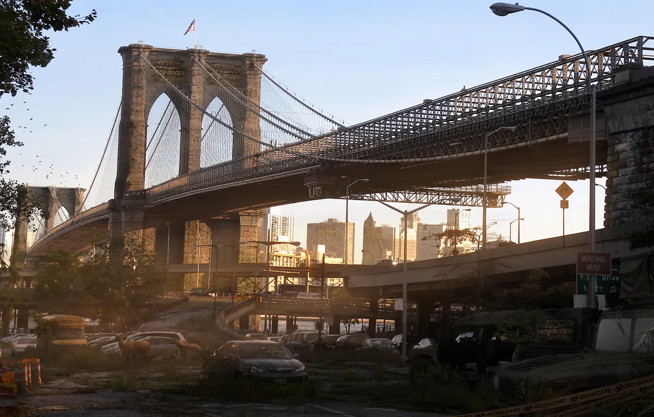 Photo wallpaper bridge, new York, postapokalipsis, quarantine