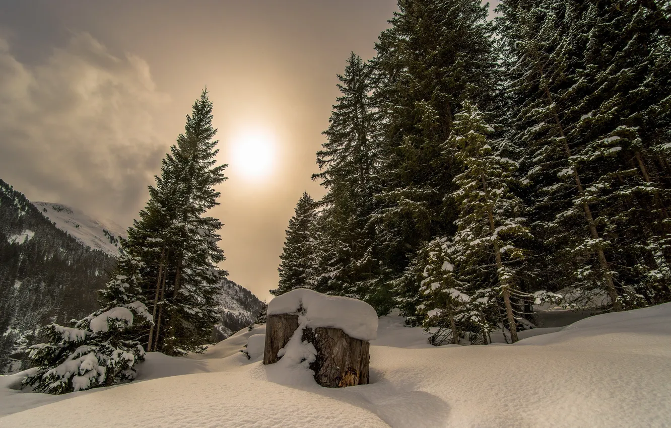 Photo wallpaper winter, snow, landscape, morning