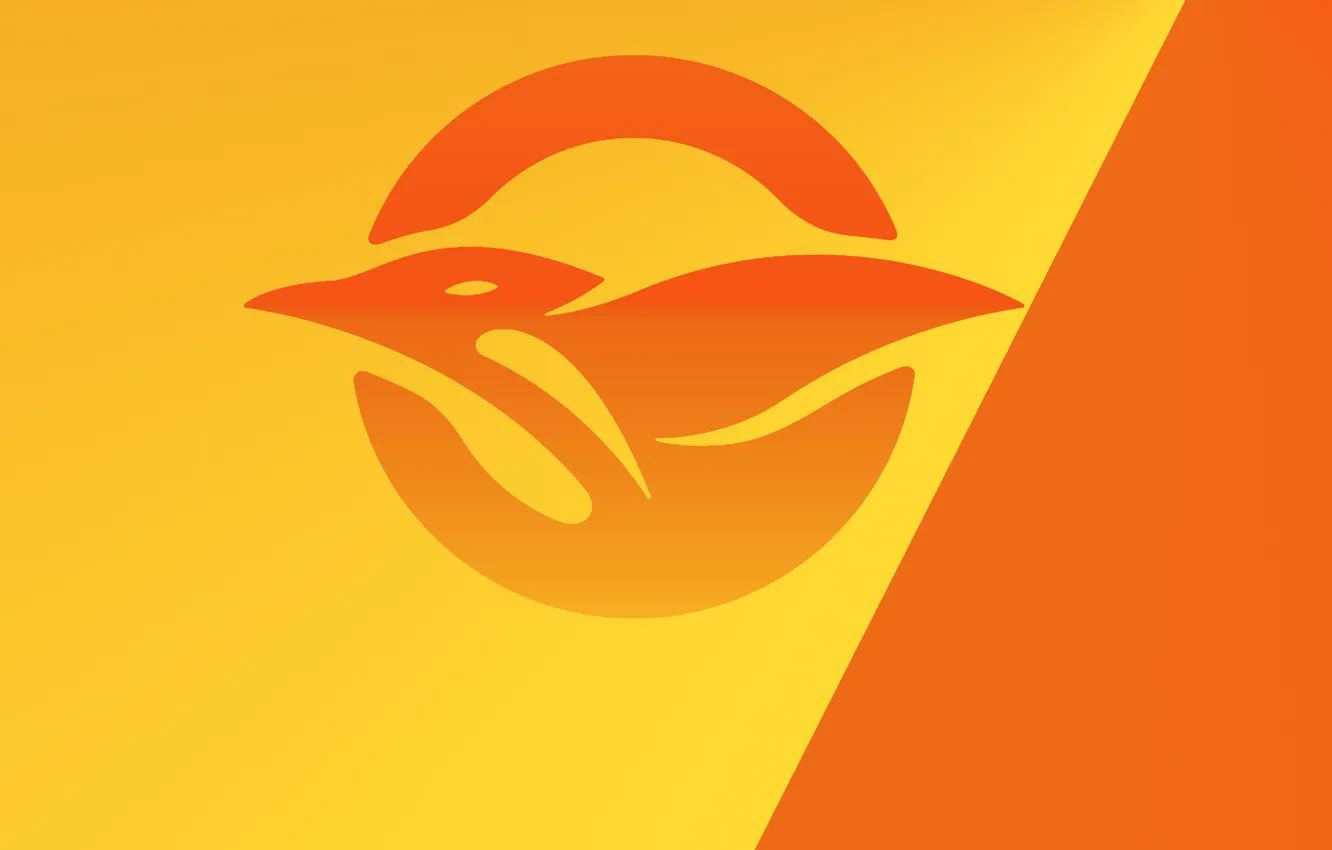 Photo wallpaper orange, yellow, bird, Seagull