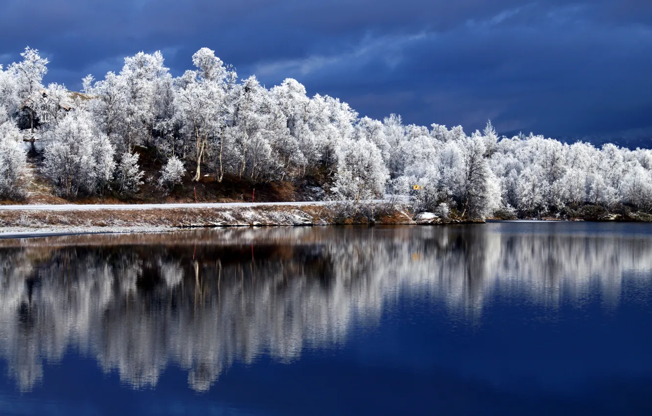 Photo wallpaper winter, the sky, trees, reflection, river, blue