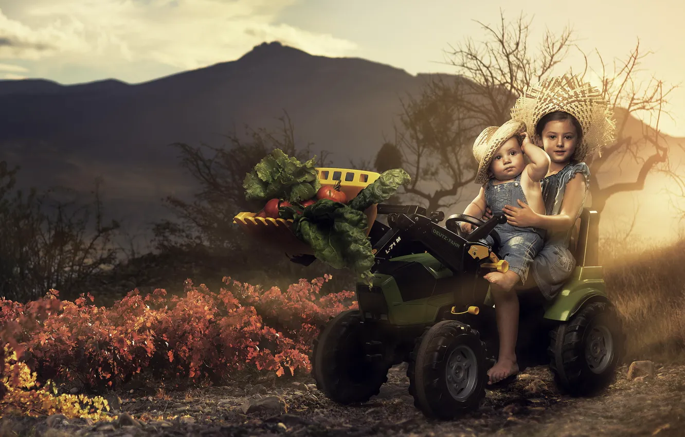 Photo wallpaper children, harvest, tractor, vegetables