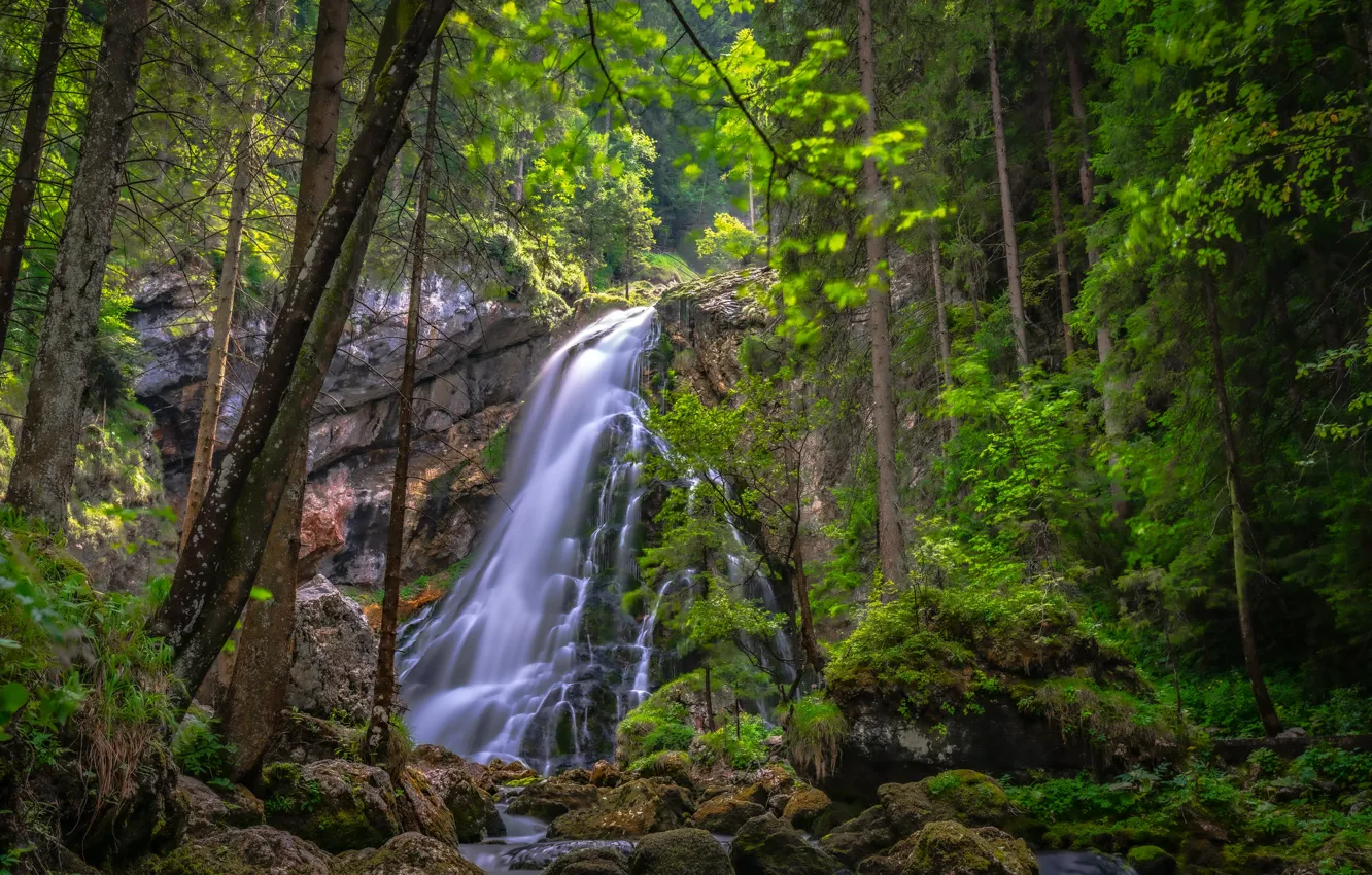 Photo wallpaper forest, trees, stones, rocks, waterfall, Austria, cascade, Austria