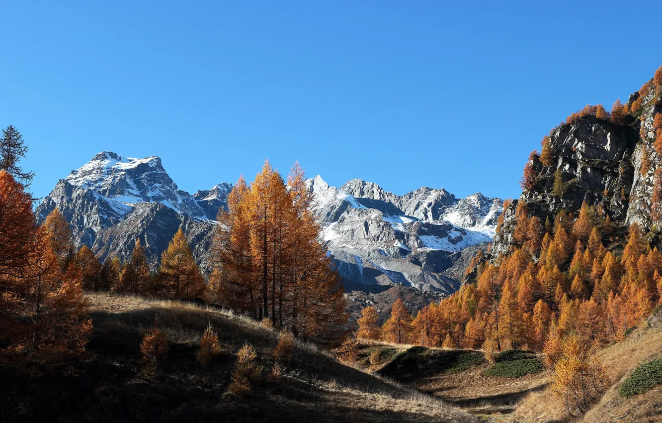 Photo wallpaper autumn, forest, mountains, Italy, Italy, Piedmont, Crampiolo