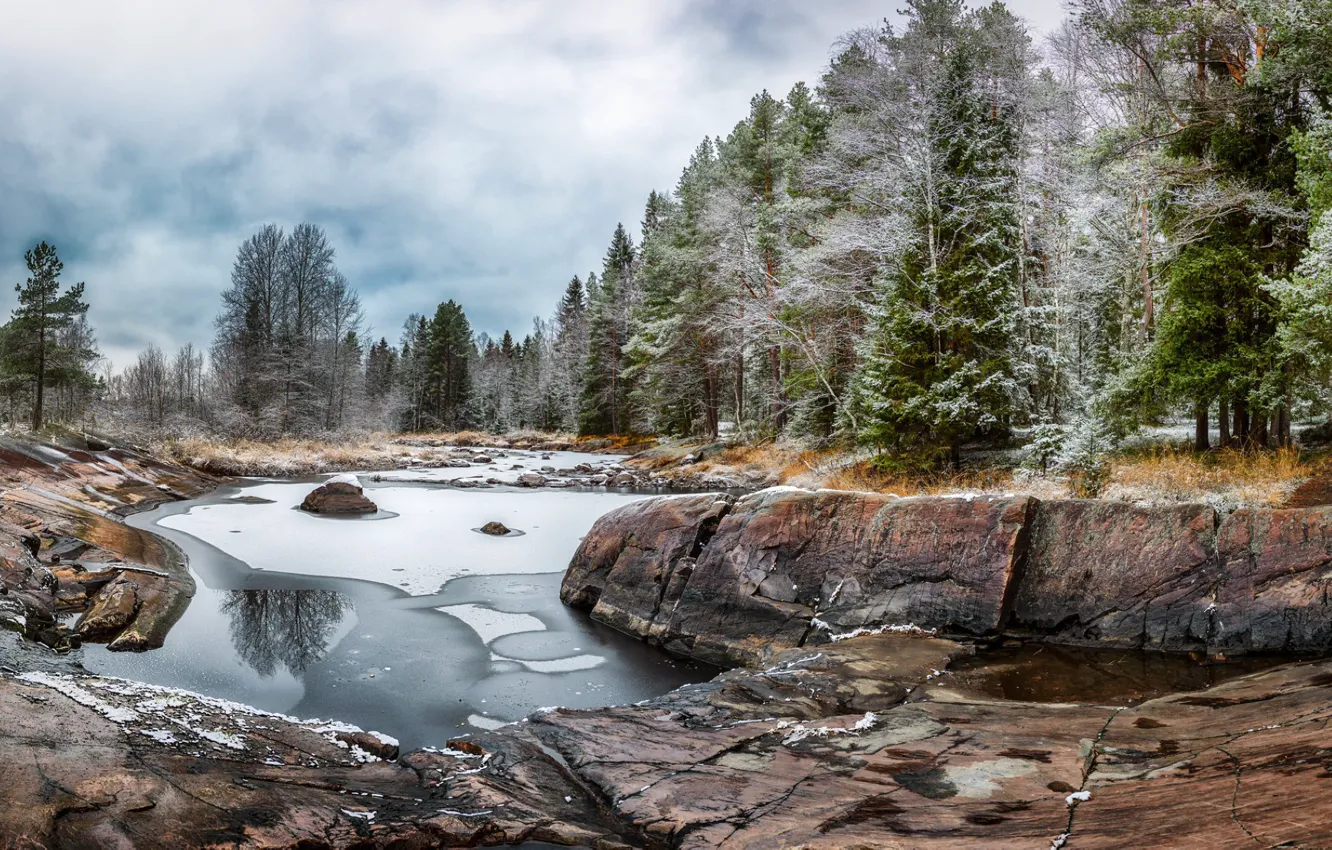 Photo wallpaper forest, river, Finland, the first snow, Koiteli, Kiiminki river