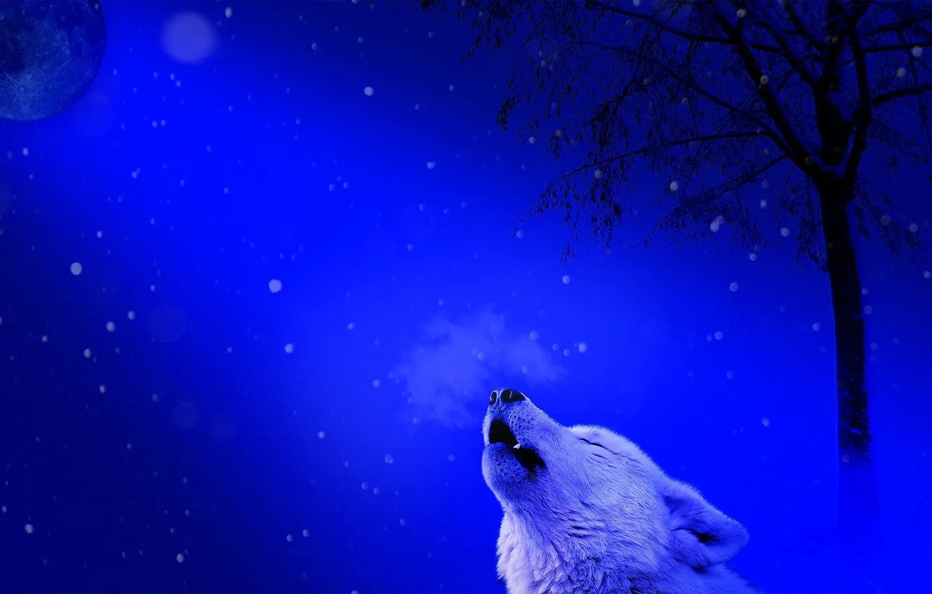 Photo wallpaper fantasy, nature, art, snow, predator, face, animal, wolf