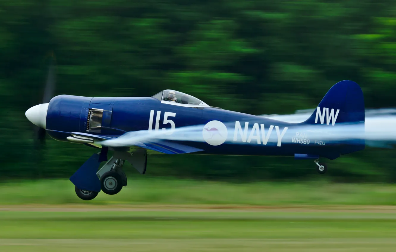 Photo wallpaper retro, the plane, weapons, collection, bokeh, single-engine, carrier-based fighter, private