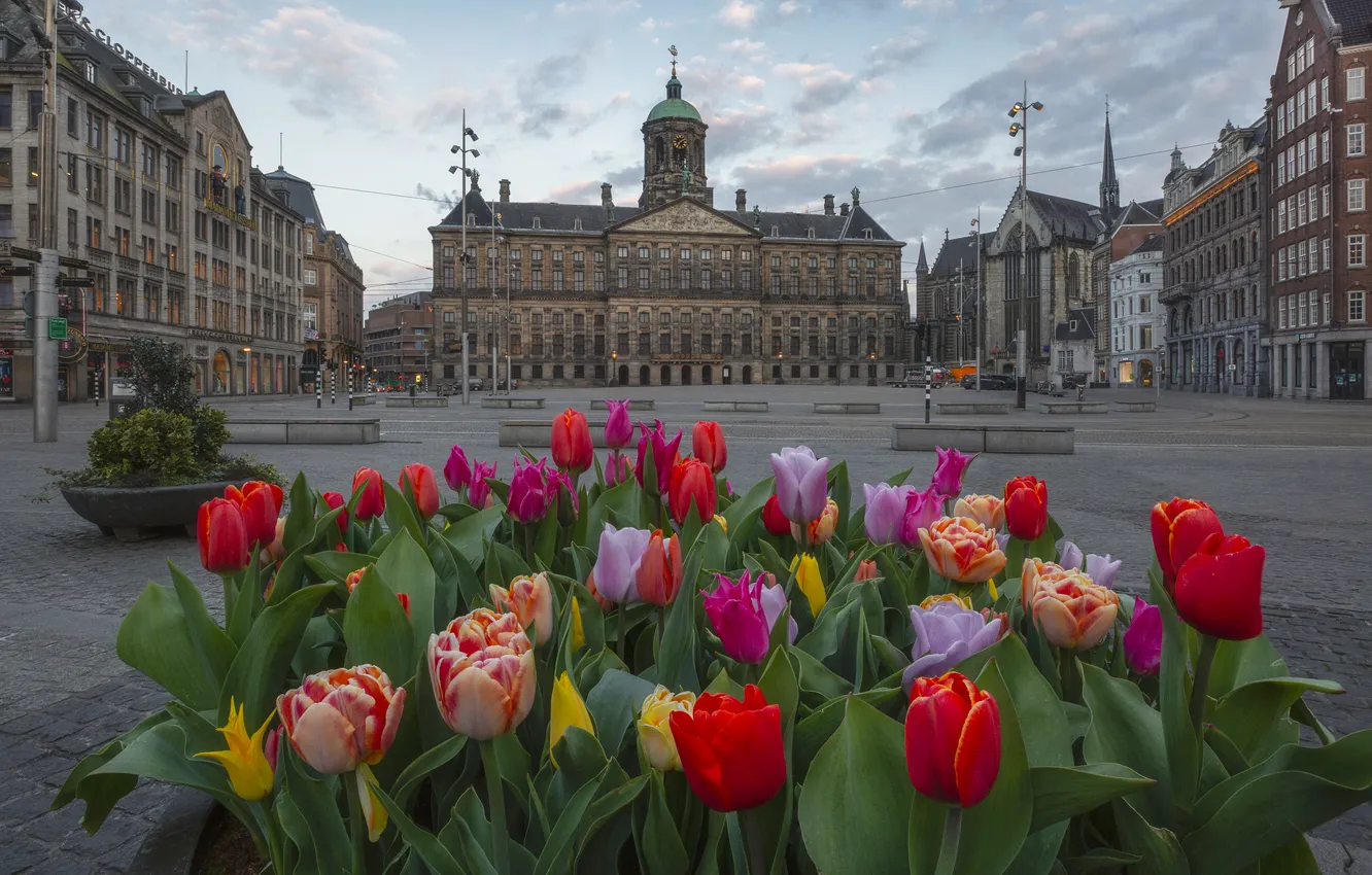 Photo wallpaper clouds, flowers, red, the city, building, spring, area, Amsterdam