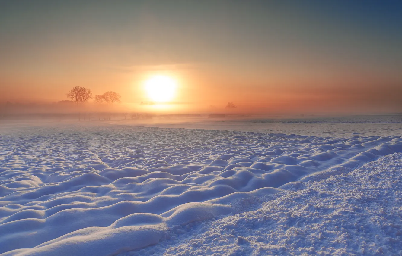 Photo wallpaper snow, trees, fog, sunrise, horizon
