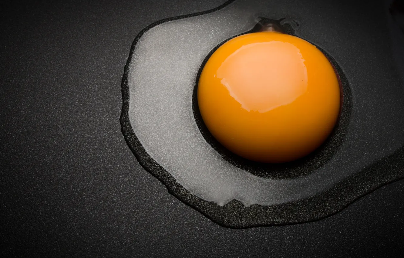 Photo wallpaper surface, egg, scrambled eggs, the yolk