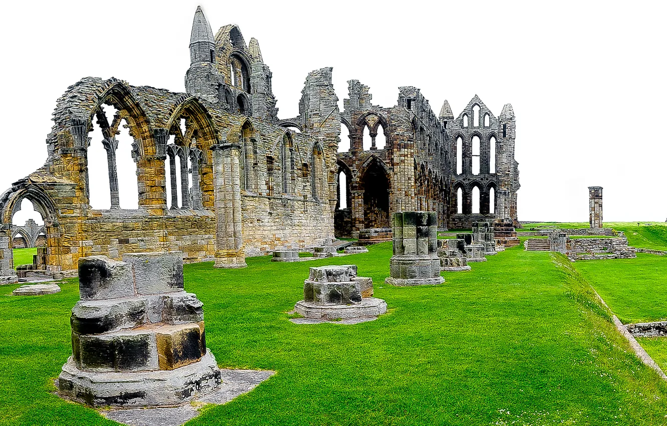 Photo wallpaper grass, England, the ruins, ruins, England, North Yorkshire, North Yorkshire, Whitby Abbey
