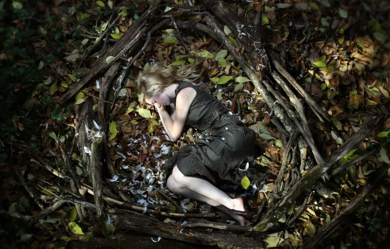 Photo wallpaper forest, girl, background