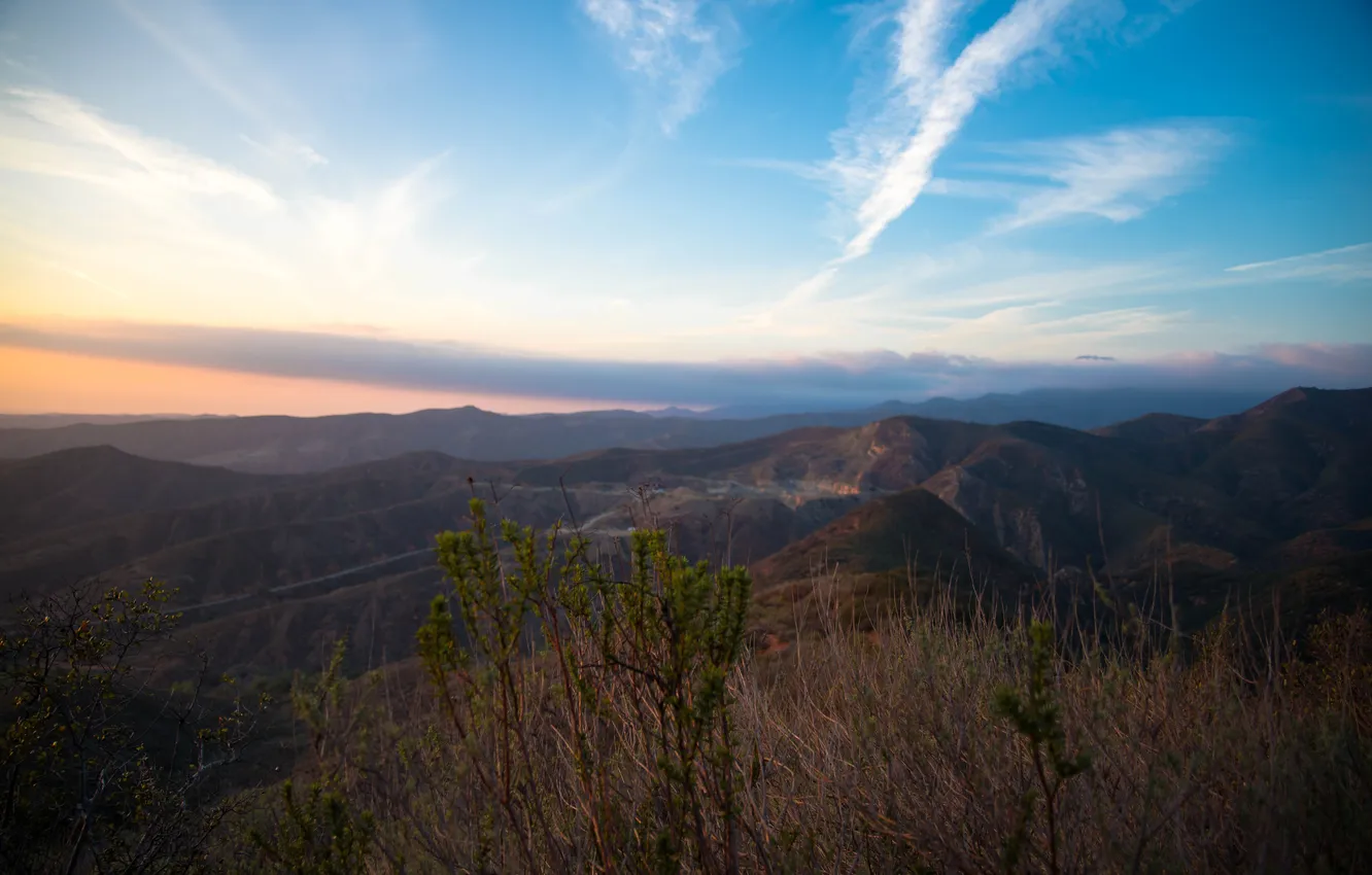 Photo wallpaper mountains, nature, the bushes