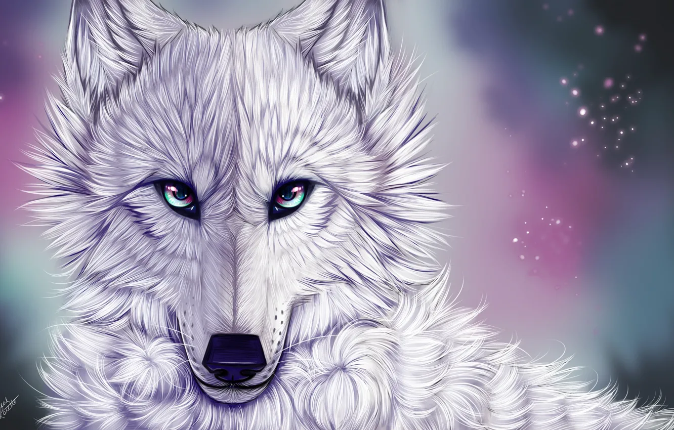 Photo wallpaper look, wolf, white wolf, myarukawolf, by myarukawolf