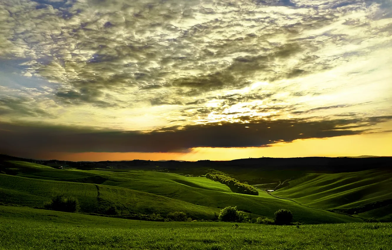Photo wallpaper greens, the sky, grass, clouds, trees, sunset, hills
