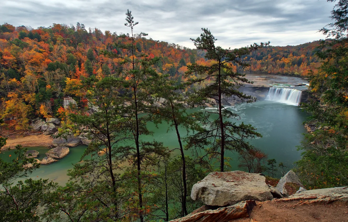 Photo wallpaper autumn, forest, trees, nature, river, waterfall, USA