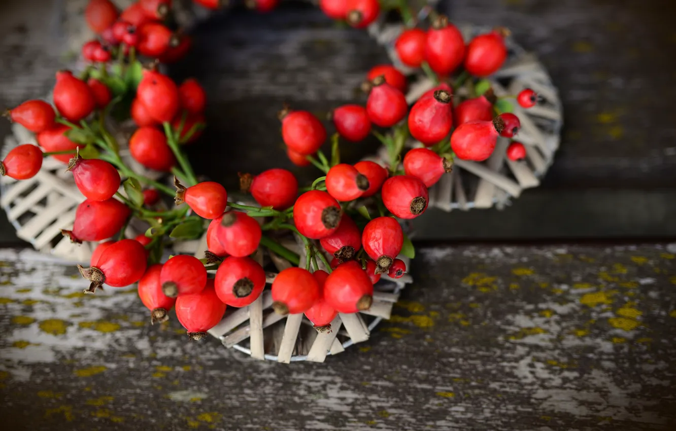 Photo wallpaper autumn, berries, Board, fruit, briar, red, wreath, composition