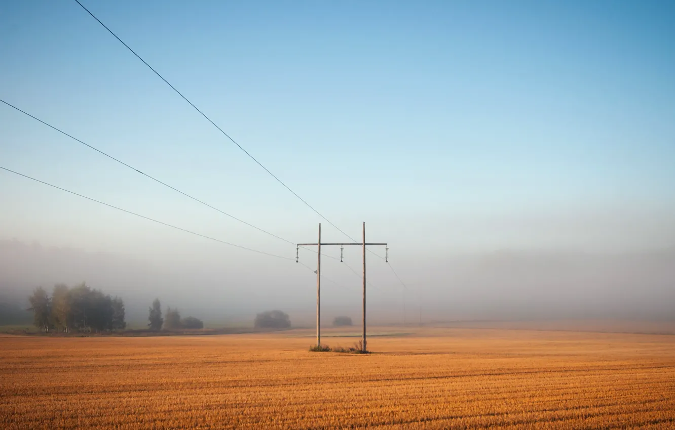 Photo wallpaper field, landscape, fog, power lines