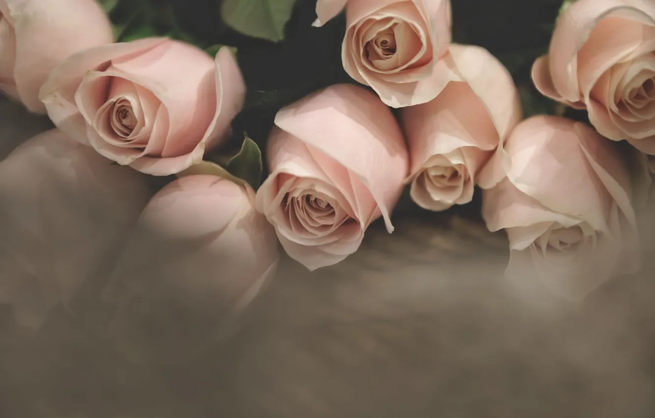 Photo wallpaper roses, bouquet, pink, pale pink