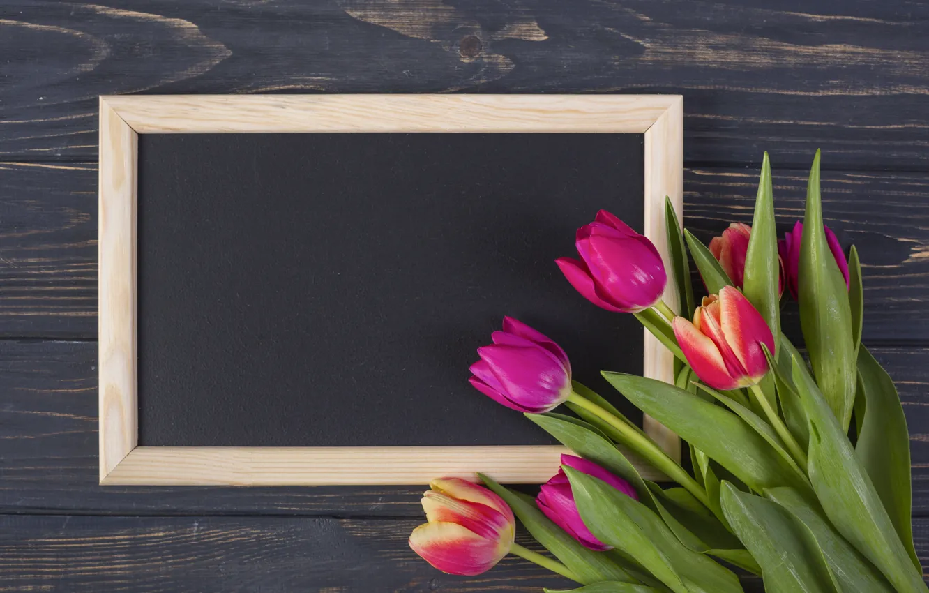 Photo wallpaper flowers, frame, colorful, tulips, wood, pink, flowers, tulips