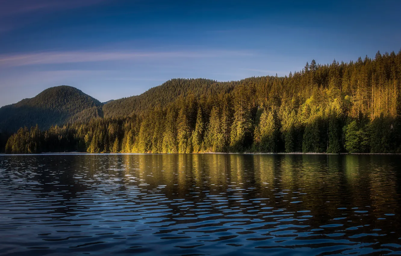 Photo wallpaper forest, the sky, light, mountains, blue, shore, ate, pond