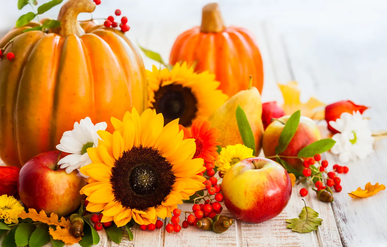 Photo wallpaper autumn, leaves, sunflowers, berries, apples, harvest, pumpkin, fruit