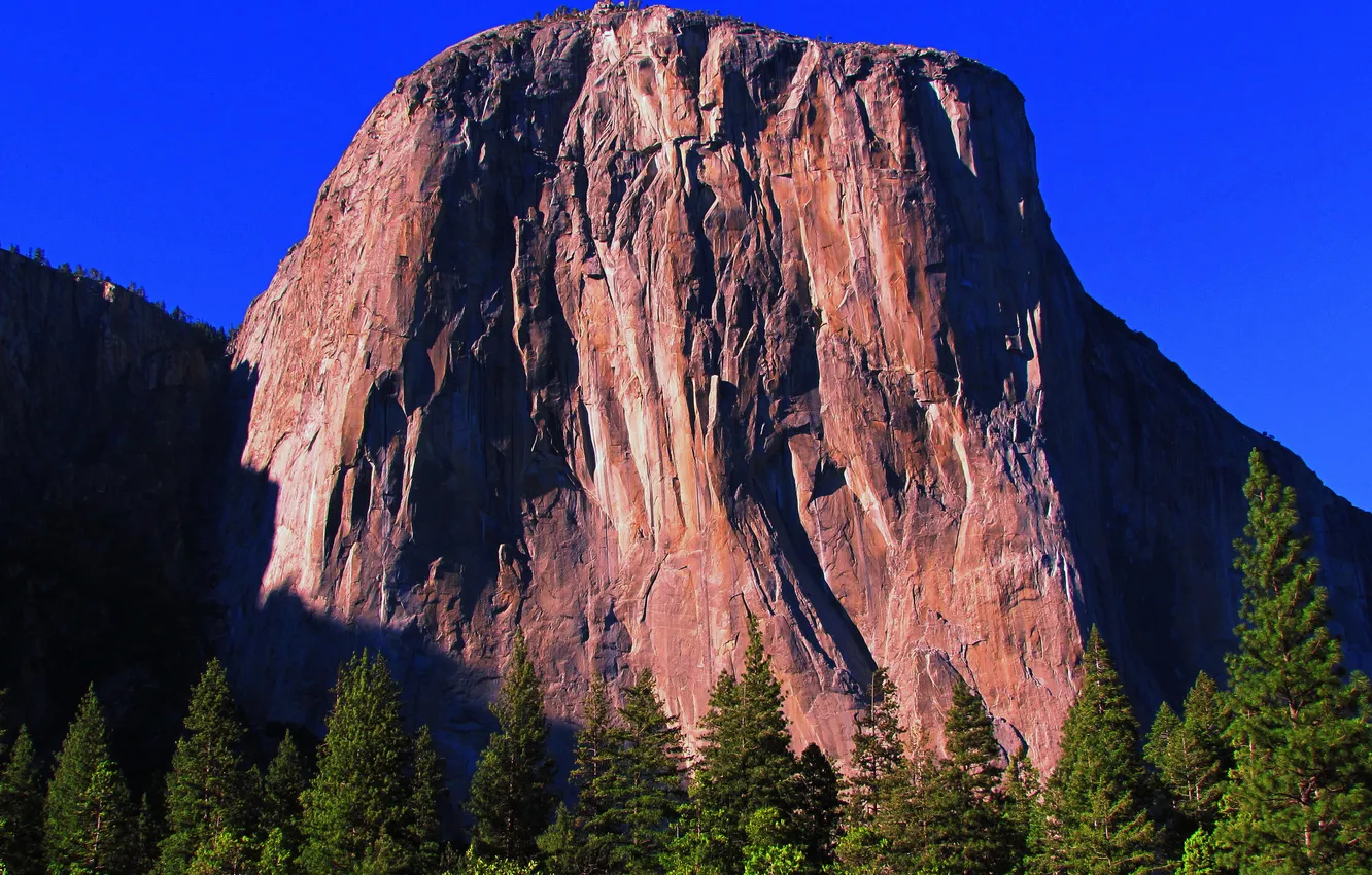 Photo wallpaper forest, the sky, mountains, rocks, spruce