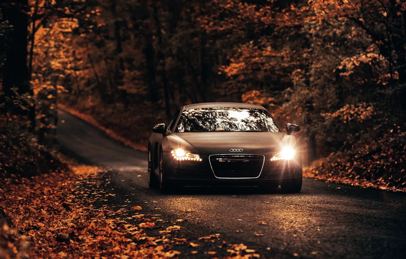 Photo wallpaper road, car, machine, autumn, Audi, Audi, Audi R8, brown