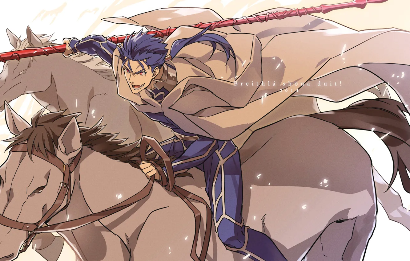 Photo wallpaper horse, spear, guy, Lancer, Fate stay night, Fate / Stay Night