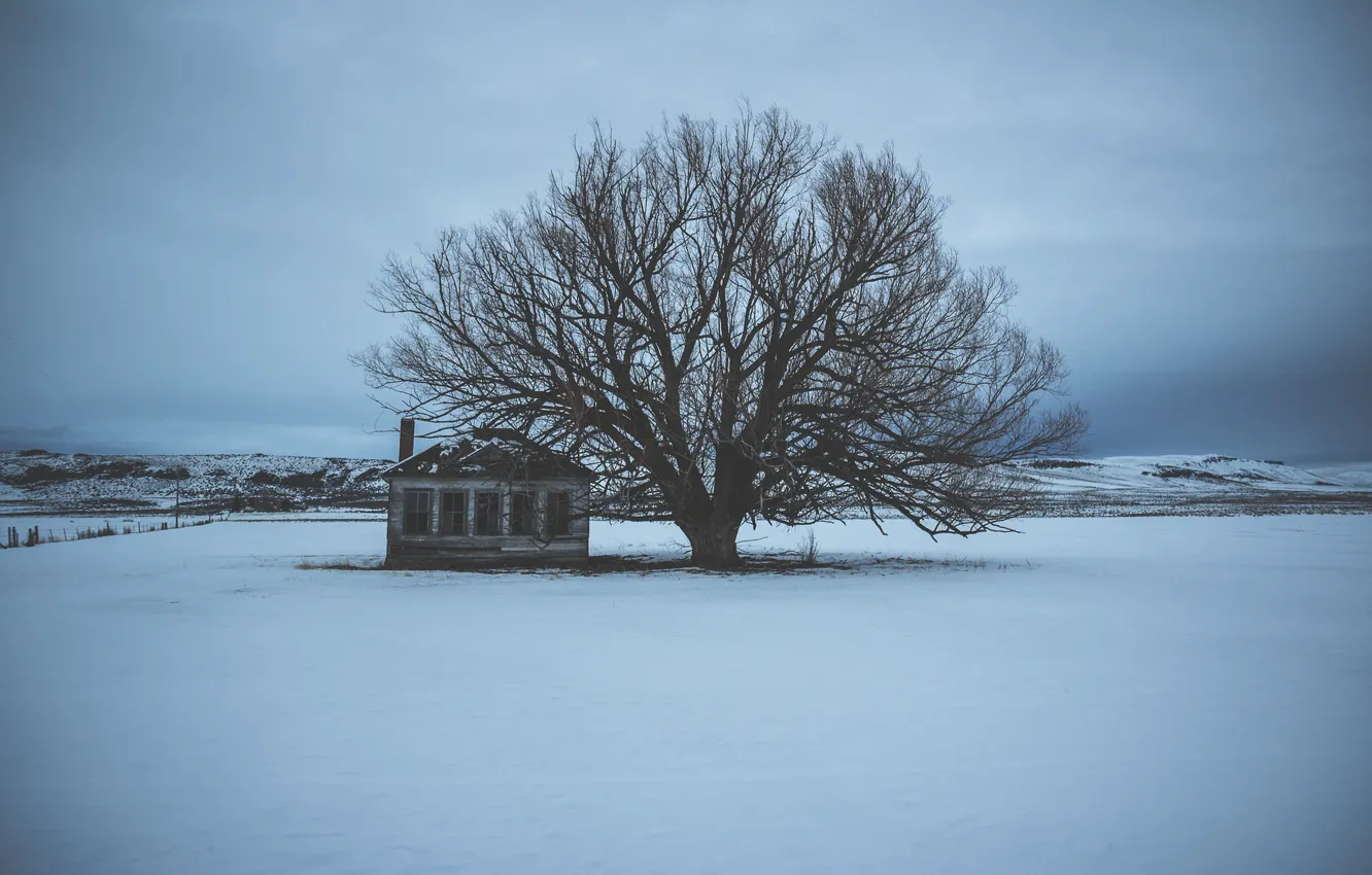 Photo wallpaper house, winter, clouds, snow, tree, hills, branches, abandoned