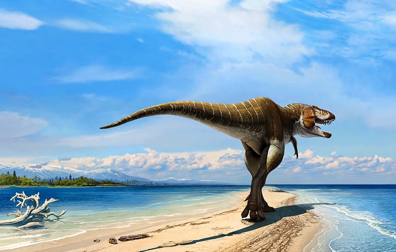 Photo wallpaper Sea, Predator, Animals, Raptor, Dinosaur, T-Rex, Tail, Back