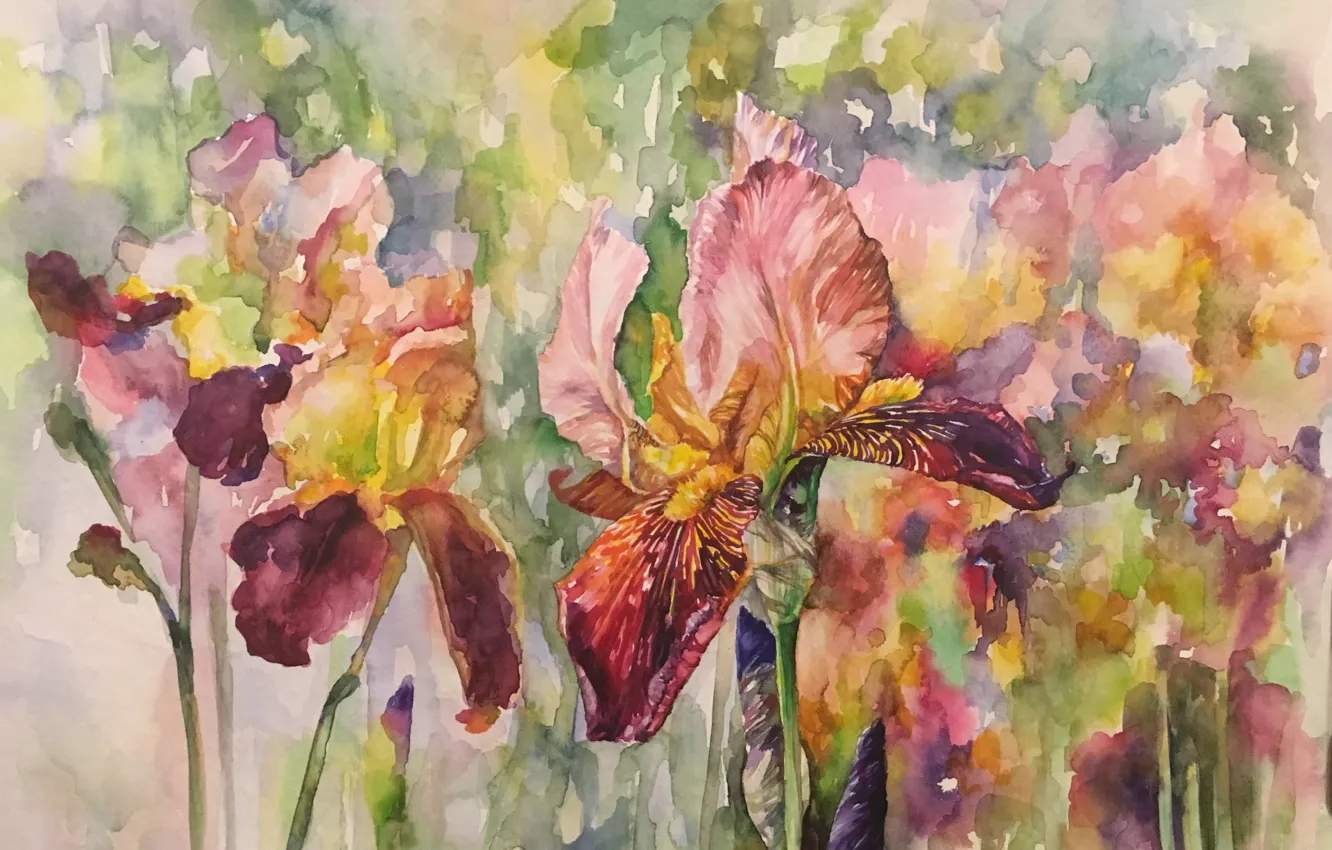 Photo wallpaper flowers, watercolor, painting, irises, the work of Irene Michel
