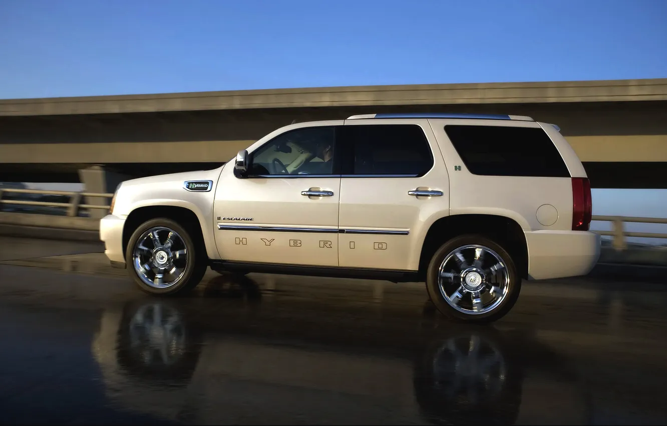 Photo wallpaper machine, white, reflection, Cadillac, jeep, SUV, Escalade, side view
