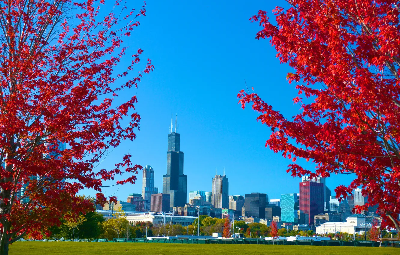 Photo wallpaper autumn, the sky, grass, trees, the city, Park, Chicago, USA