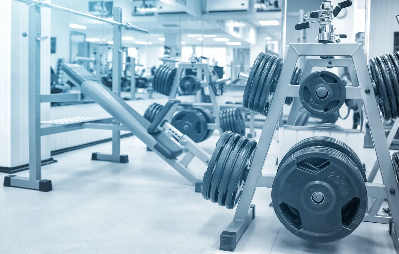 Photo wallpaper gym, distribution, equipment