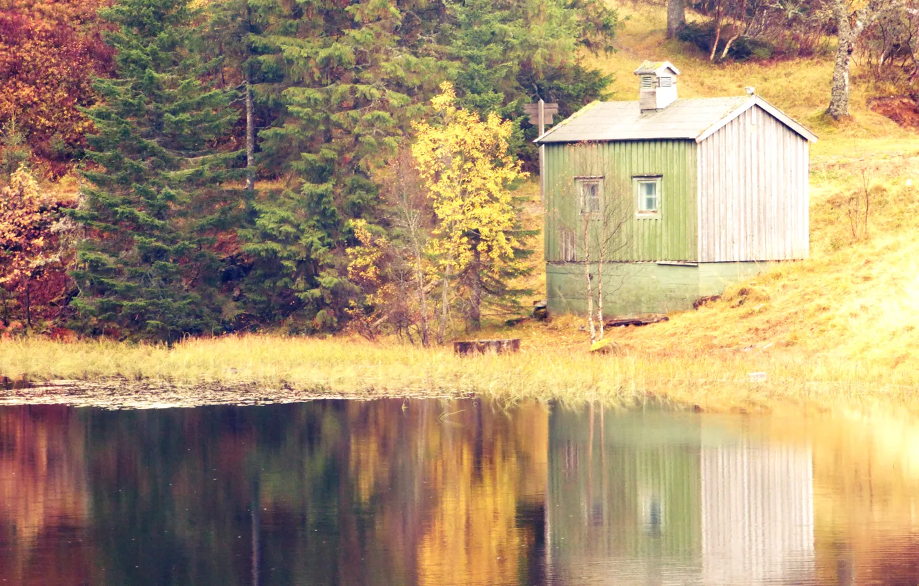 Photo wallpaper autumn, forest, lake, Norway, house